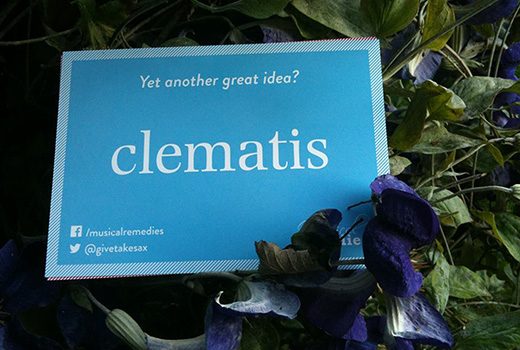 A card on an orchard reading: Yet another great idea? Clematis